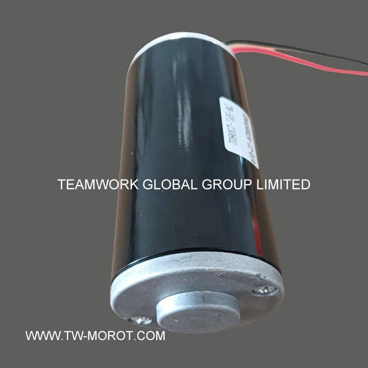 High Performance DC Motor For Small Household Appliance