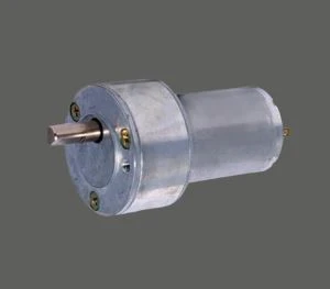 GM50RS555 Kors ta 'Kwalità Tajba DC Motor Għal Disposers Żibel