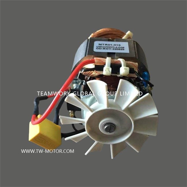 Household Food Grinder Motor