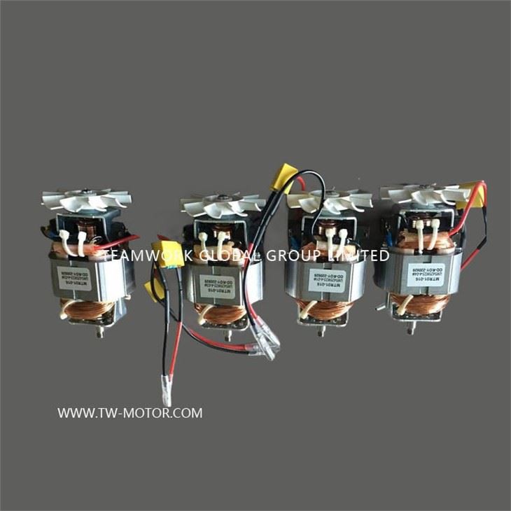 Household Food Grinder Motor