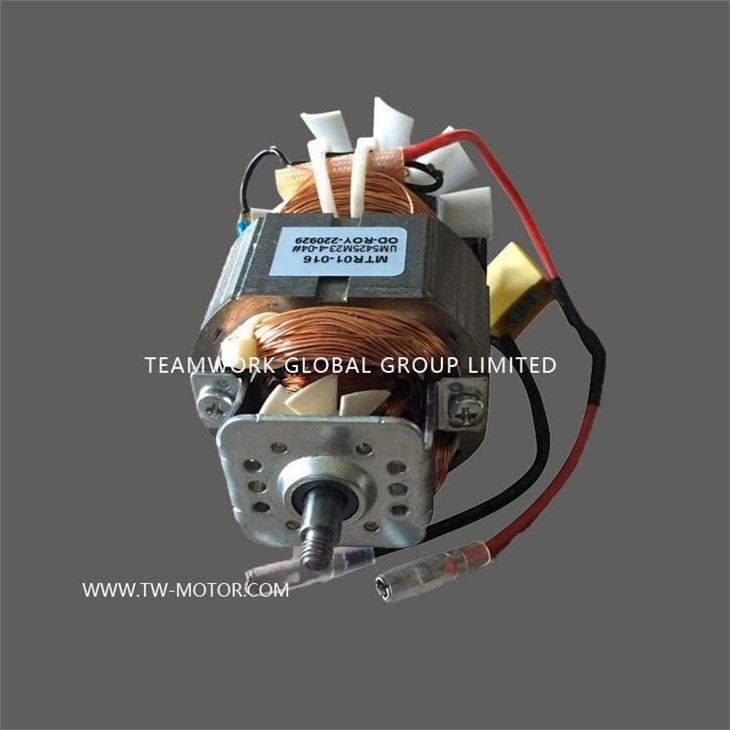 Household Food Grinder Motor