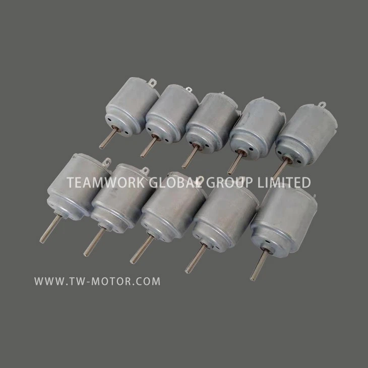 Small DC Motor