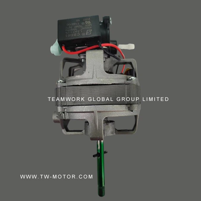 Inner Winding Motor